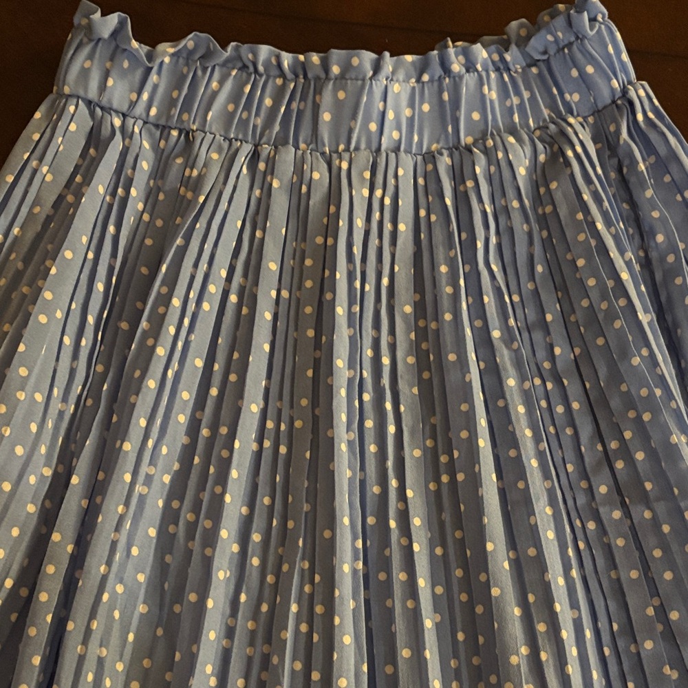 Blue Polka Dot Pleated A-Line Skirt - Picture 6 of 8